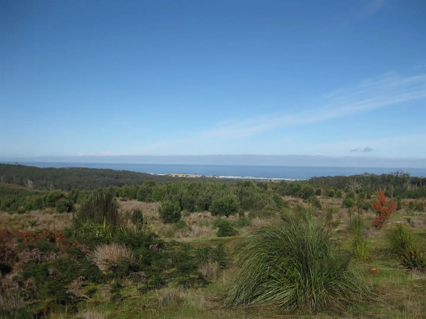 Main view of Homely rural property listing, . Wilsons Road, Granville Harbour TAS 7469