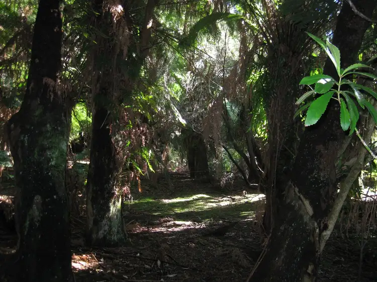 Sixth view of Homely rural property listing, . Wilsons Road, Granville Harbour TAS 7469