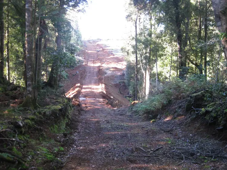 Seventh view of Homely rural property listing, . Wilsons Road, Granville Harbour TAS 7469