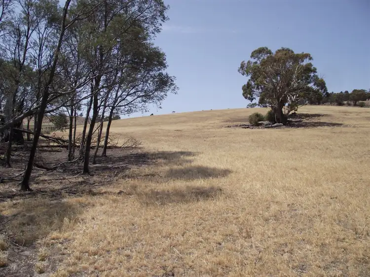 Fourth view of Homely rural property listing, 1231 Tea Tree Road, Campania TAS 7026