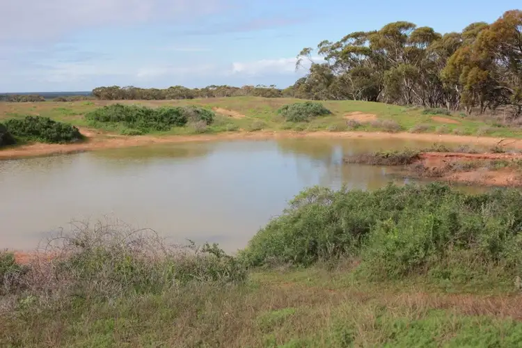 Fourth view of Homely rural property listing, Address available on request