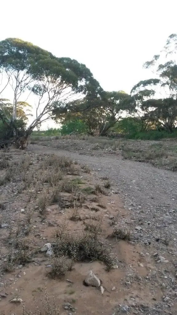 Fifth view of Homely rural property listing, Address available on request