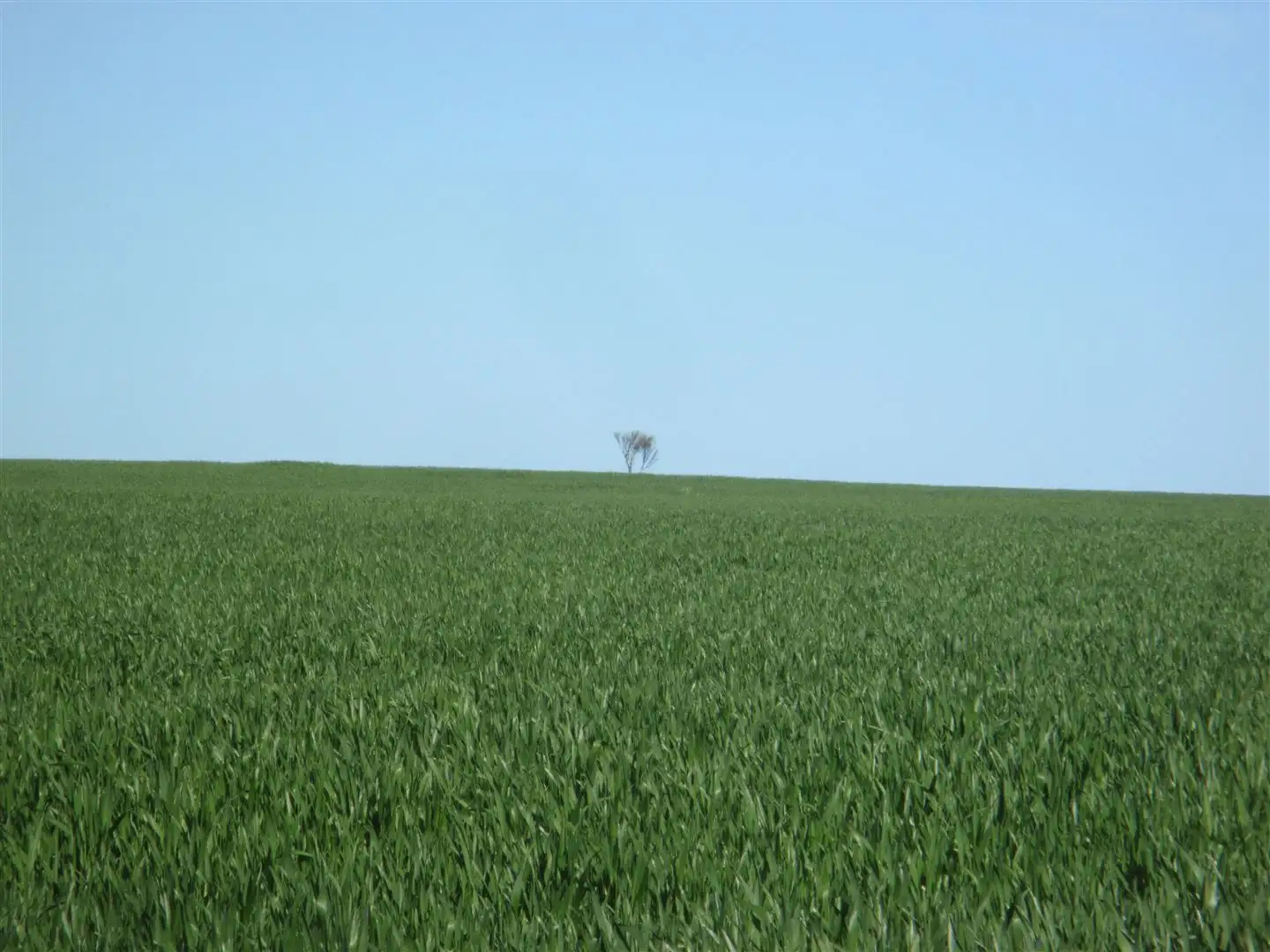 Main view of Homely rural property listing, Address available on request