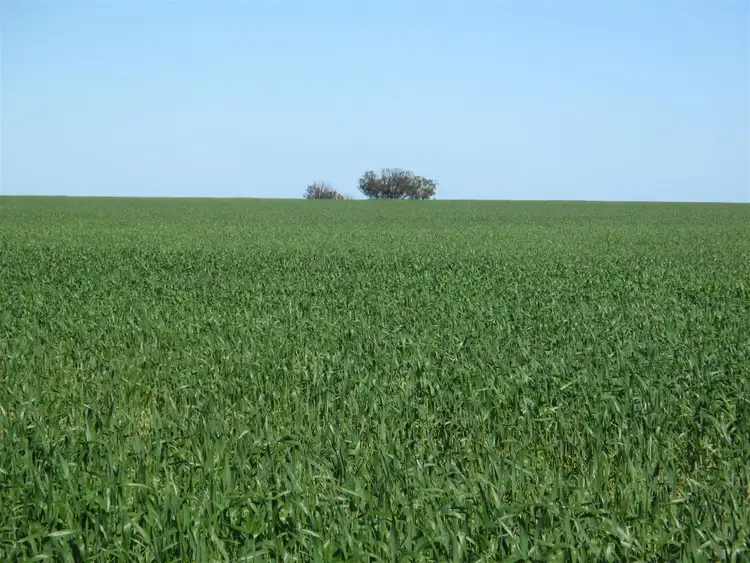 Second view of Homely rural property listing, Address available on request