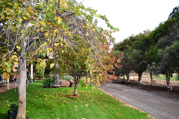 Main view of Homely rural property listing, 3 White Lane, Kerang VIC 3579