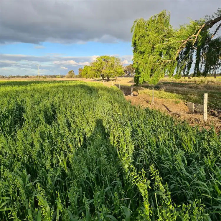 Third view of Homely rural property listing, 3 White Lane, Kerang VIC 3579