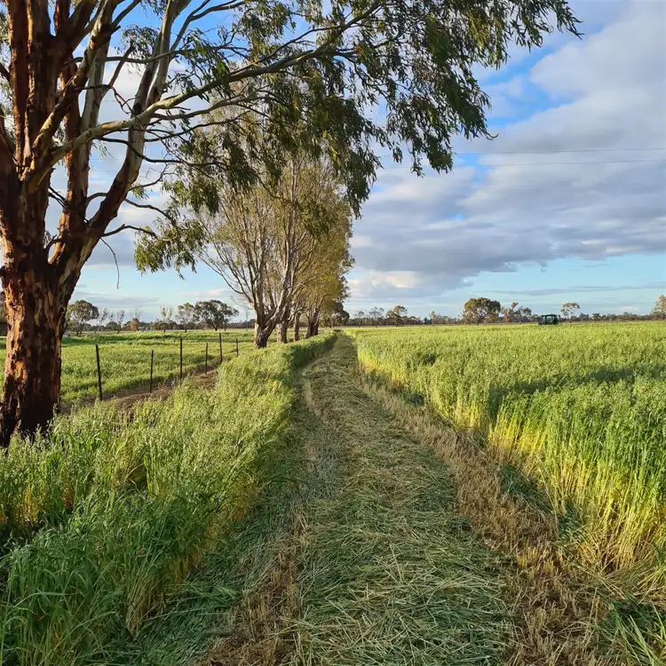 Fourth view of Homely rural property listing, 3 White Lane, Kerang VIC 3579