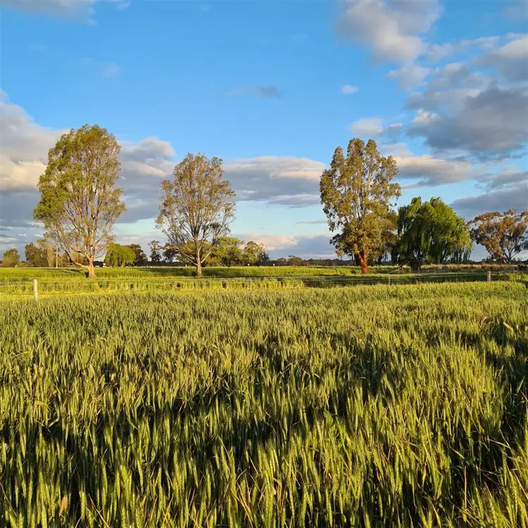 Fifth view of Homely rural property listing, 3 White Lane, Kerang VIC 3579
