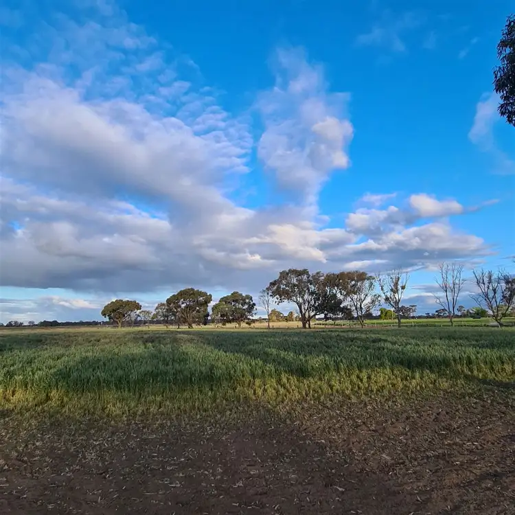 Sixth view of Homely rural property listing, 3 White Lane, Kerang VIC 3579