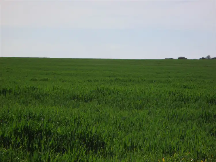 Second view of Homely rural property listing, Address available on request