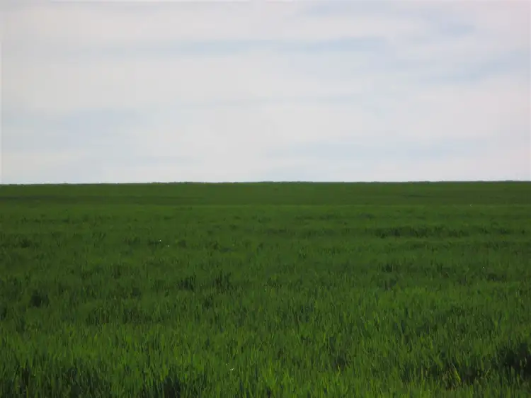 Third view of Homely rural property listing, Address available on request