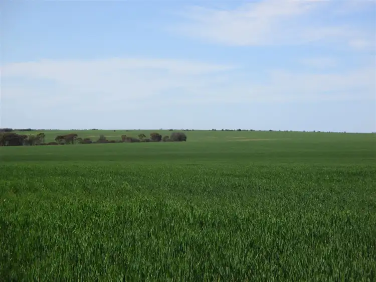 Fourth view of Homely rural property listing, Address available on request