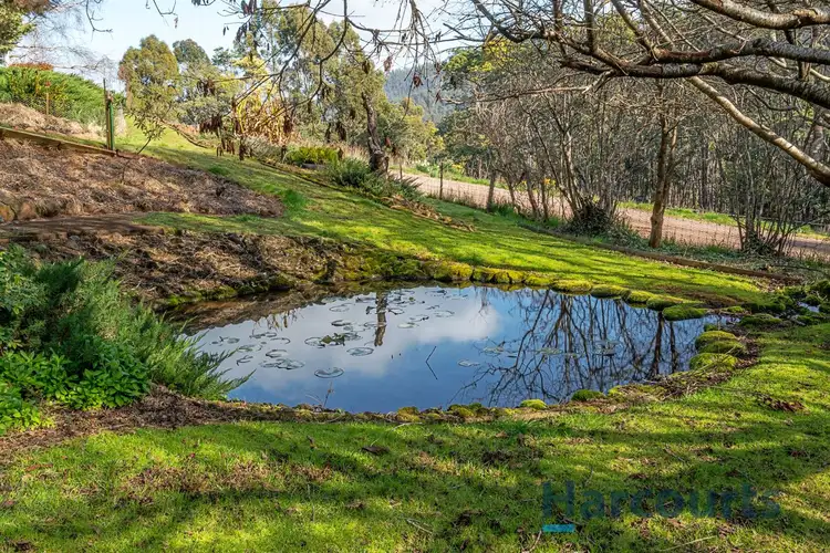 Sixth view of Homely rural property listing, 215 Gunns Plains Road, North Motton TAS 7315