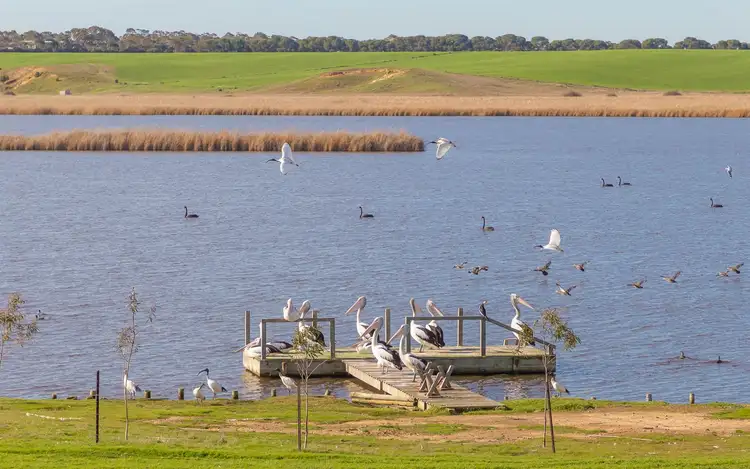 Fourth view of Homely house listing, 275 Sorrells Road, Finniss SA 5255