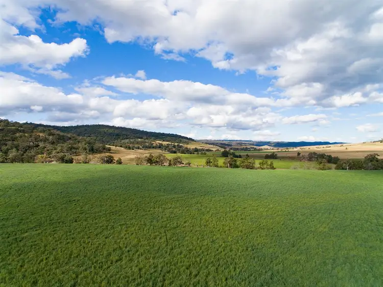 2624 Ridgelands Rd, 'Shannandore', Scone NSW 2337