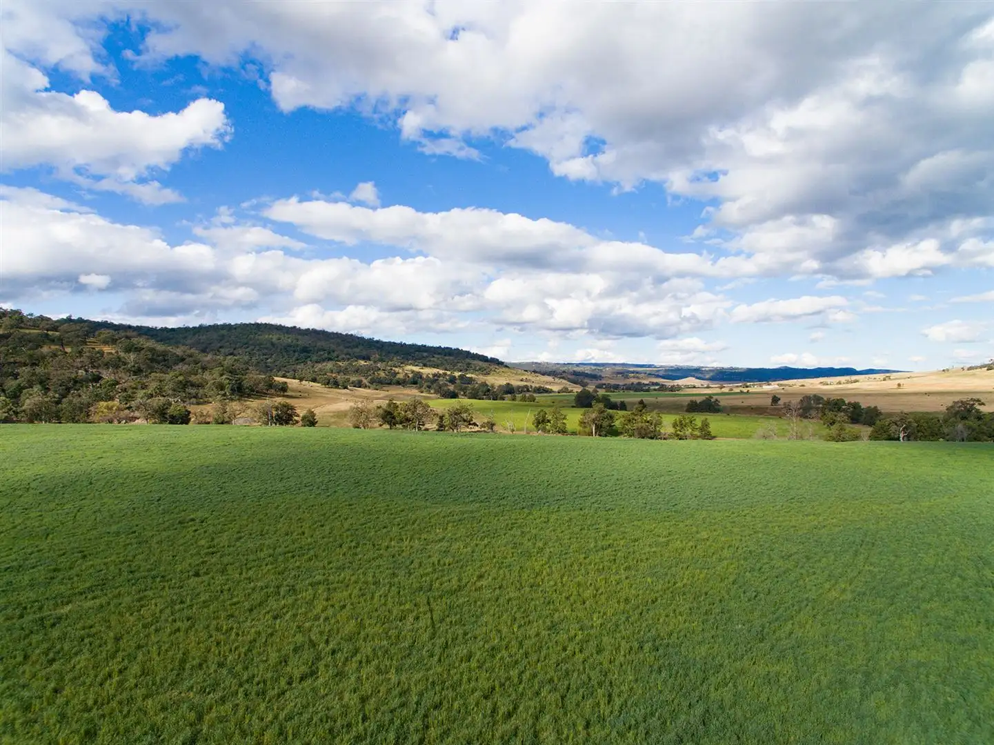 Main view of Homely rural property listing, 2624 Ridgelands Rd, 'Shannandore', Scone NSW 2337