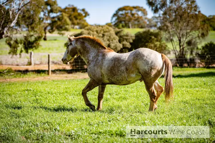 Main view of Homely rural property listing, 407 Milang Road, Strathalbyn SA 5255