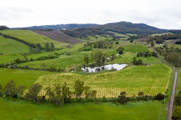 Second view of Homely rural property listing, 43 Turkey Farm Road, Glengarry TAS 7275