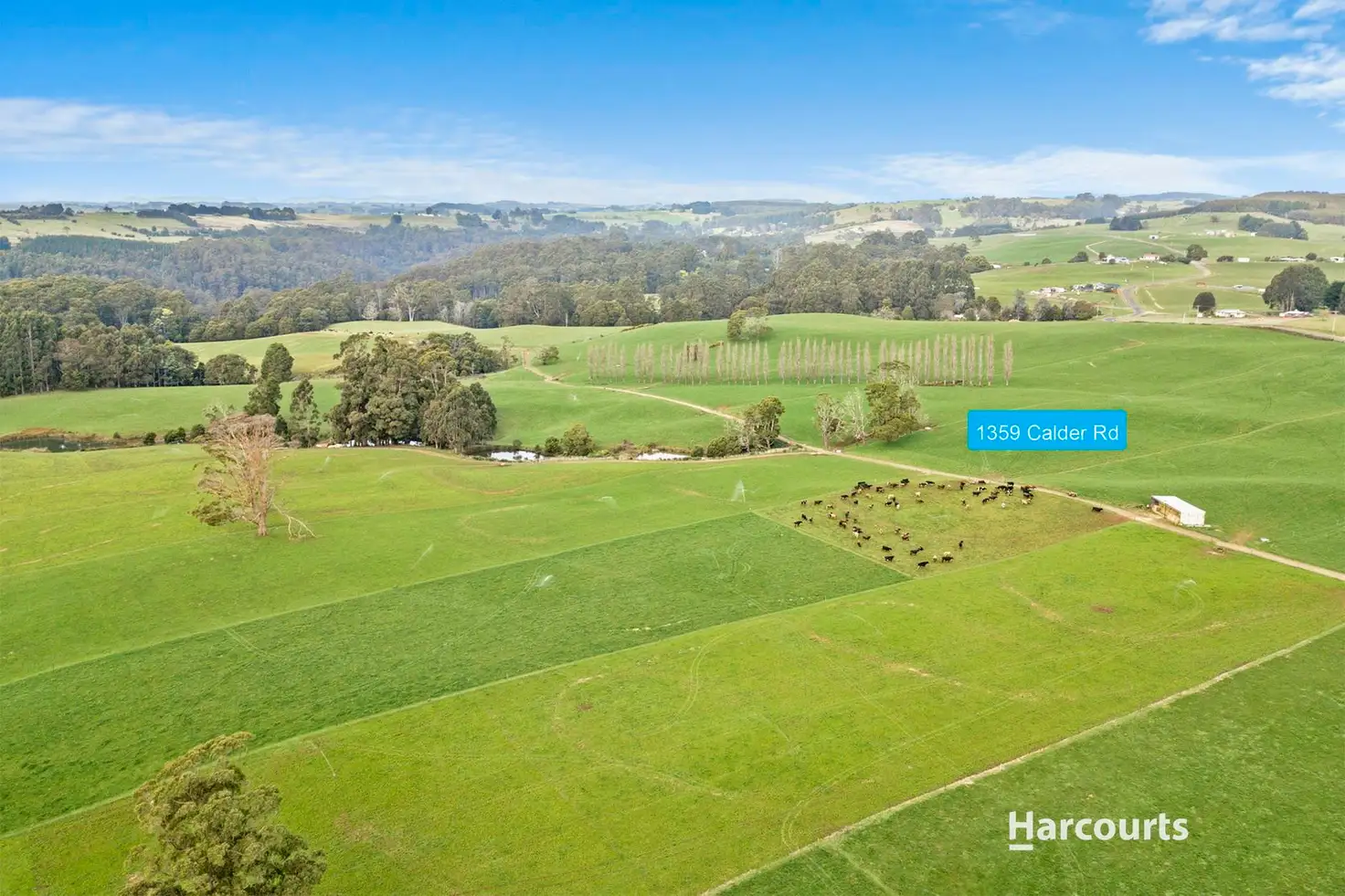 Main view of Homely rural property listing, 1359 Calder Road, Calder TAS 7325
