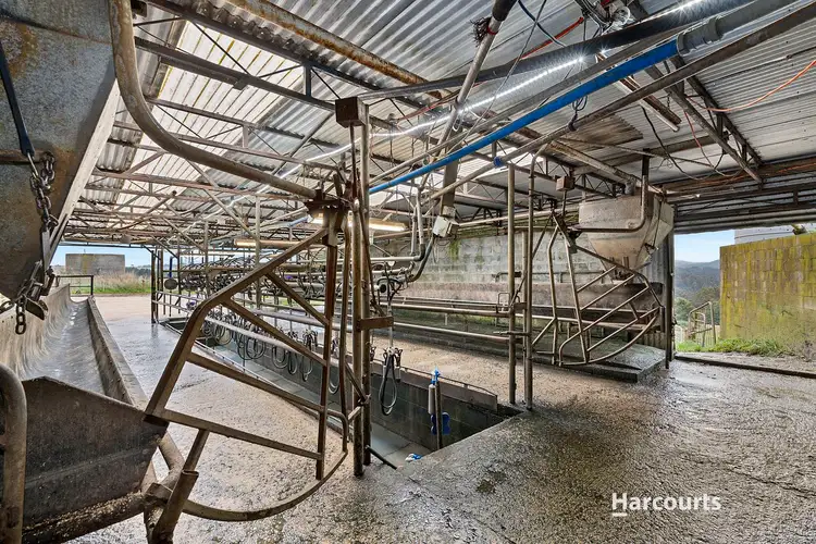 Fourth view of Homely rural property listing, 1359 Calder Road, Calder TAS 7325