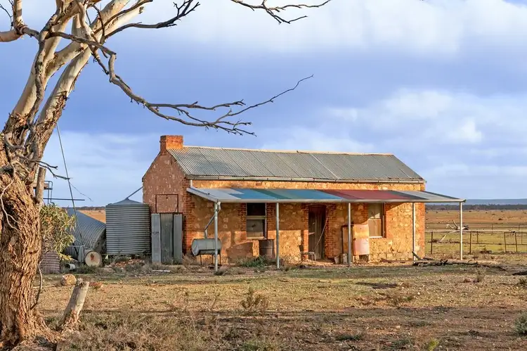 Main view of Homely rural property listing, 1329 Linkes Woolshed Road, Steinfeld SA 5356