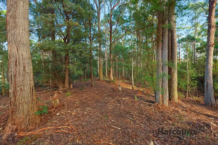 Fourth view of Homely land listing, 8 Ellice Hill Drive, Spreyton TAS 7310