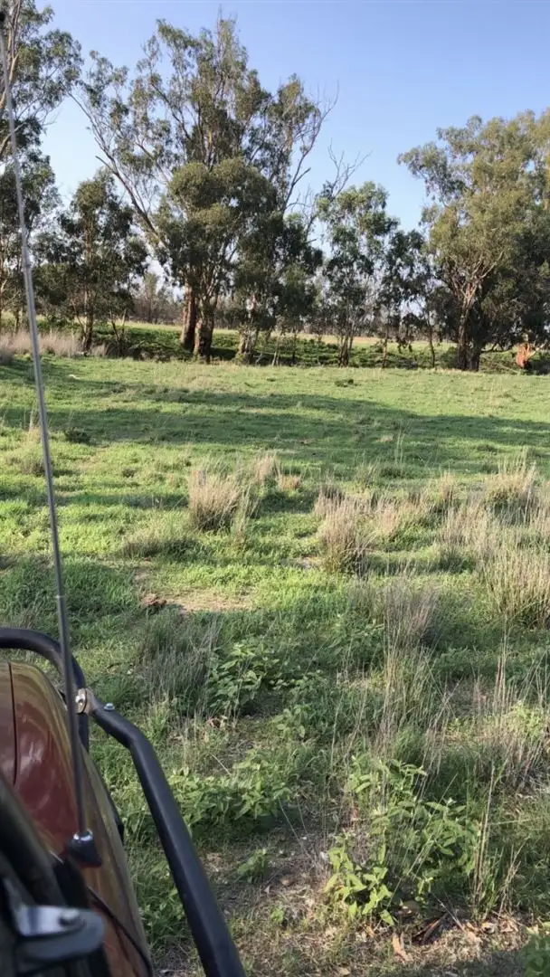 Fourth view of Homely rural property listing, Lot 88 Cunningham Highway, Oman Ama QLD 4352