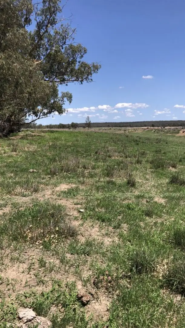 Fifth view of Homely rural property listing, Lot 88 Cunningham Highway, Oman Ama QLD 4352