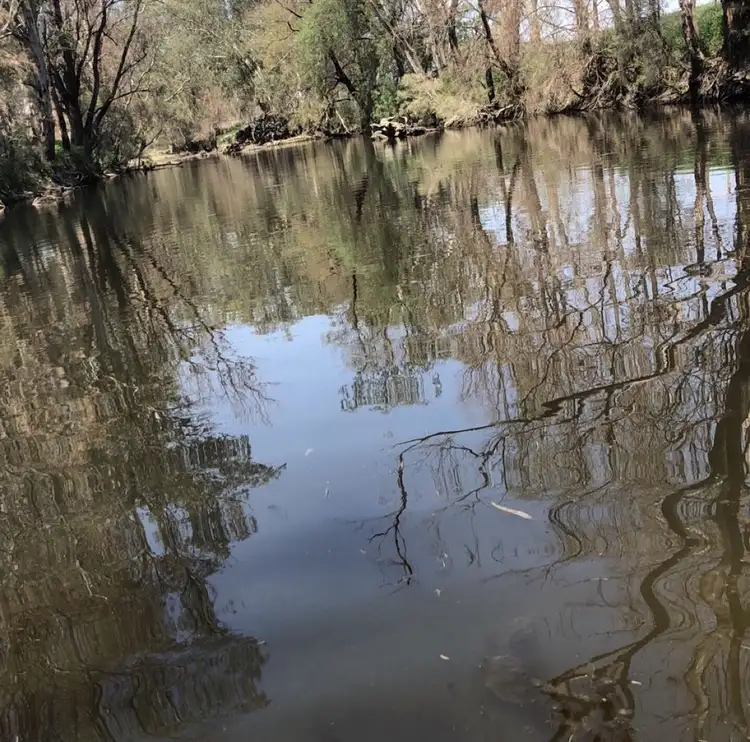 Sixth view of Homely rural property listing, Lot 88 Cunningham Highway, Oman Ama QLD 4352