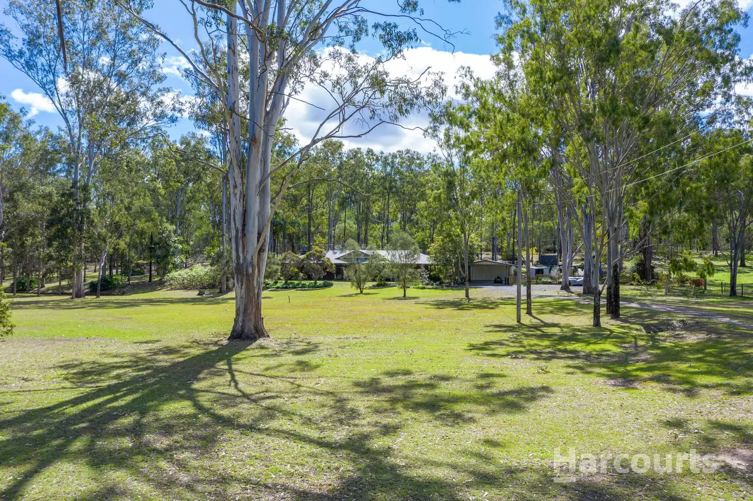 Main view of Homely house listing, 40 Arabian Court, Jimboomba QLD 4280