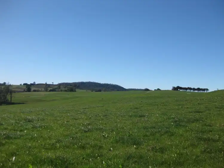 Seventh view of Homely rural property listing, 2427 Wilmot Road, Wilmot TAS 7310