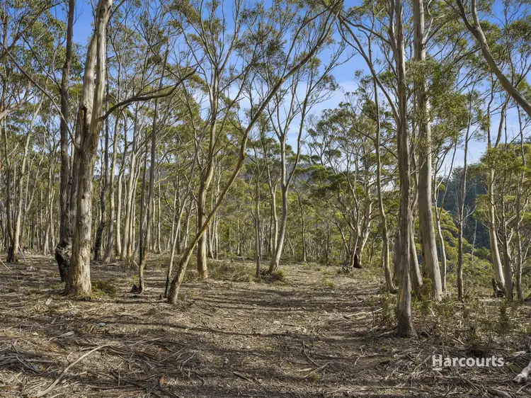 Main view of Homely land listing, Lot 1 Molesworth Road, Glenlusk TAS 7012