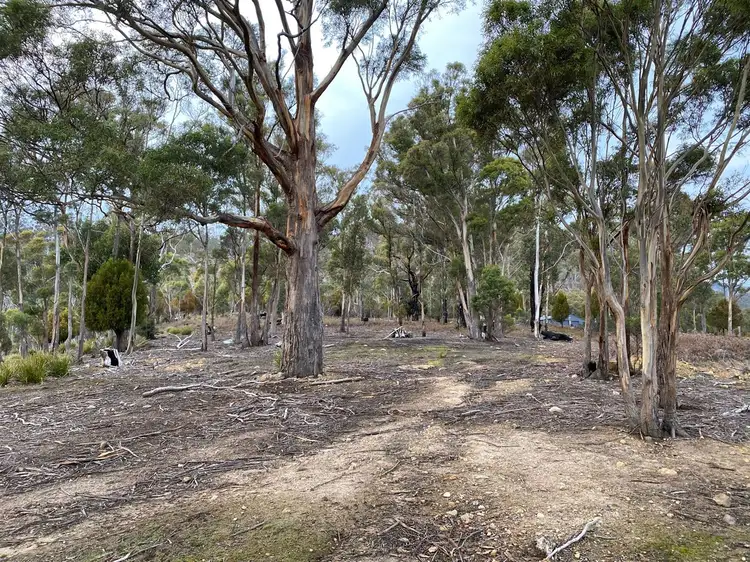 Lot 1/469 Glen Dhu Road, Molesworth TAS 7140
