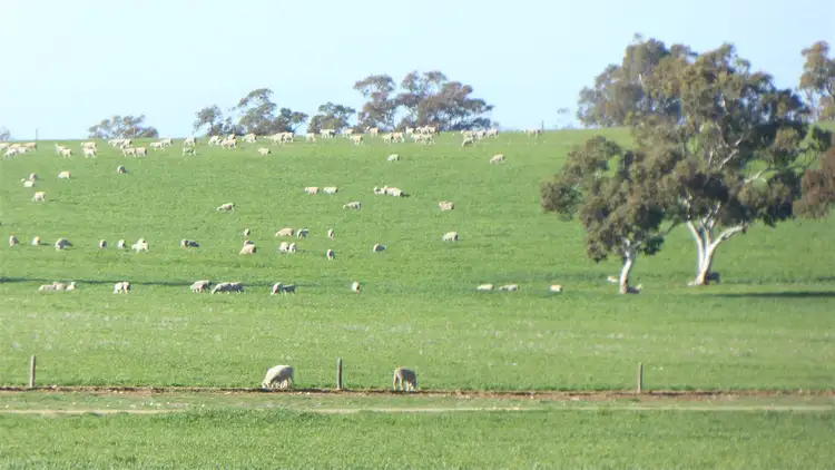 Second view of Homely rural property listing, 530 Ova Flow Road, Keith SA 5267