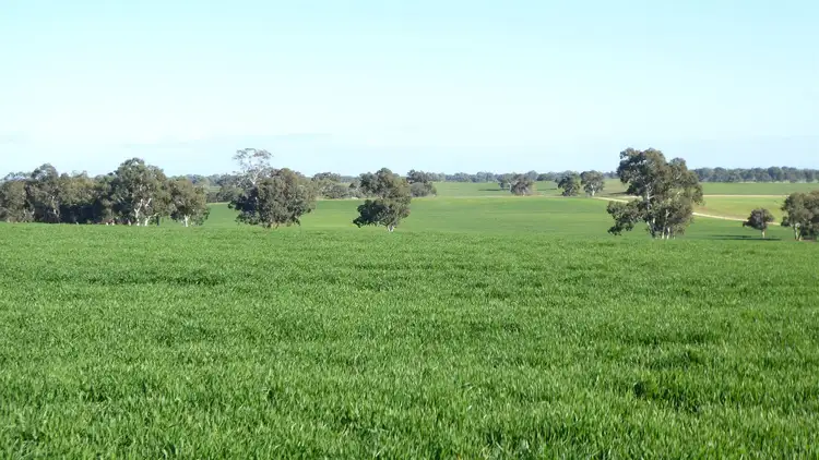 Third view of Homely rural property listing, 530 Ova Flow Road, Keith SA 5267