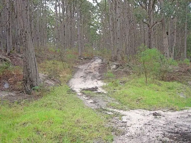 Sixth view of Homely rural property listing, Lot 1 Tarra Valley Road, Tarra Valley VIC 3971