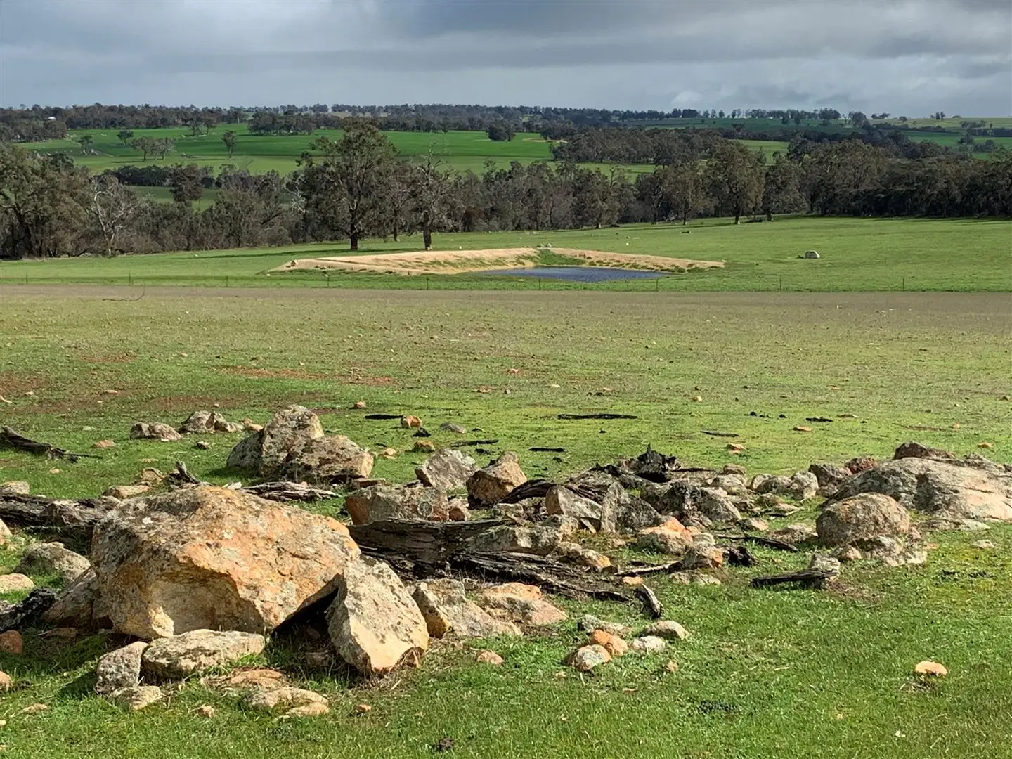 Main view of Homely rural property listing, 439 Fisher Road, Kojonup WA 6395