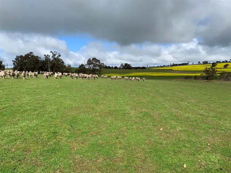Fifth view of Homely rural property listing, 439 Fisher Road, Kojonup WA 6395