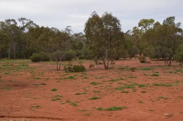 Third view of Homely rural property listing, * Budgery, Cobar NSW 2835