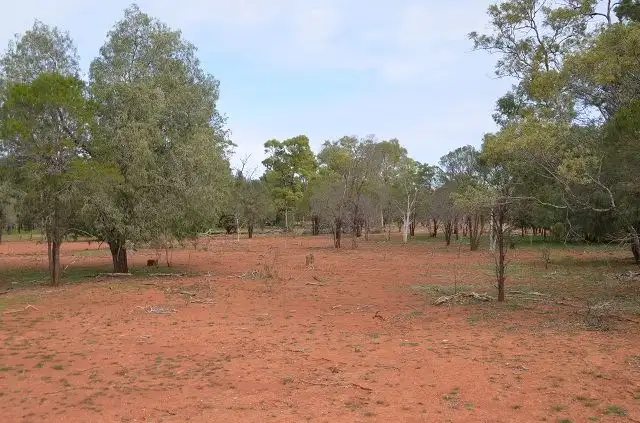 Sixth view of Homely rural property listing, * Budgery, Cobar NSW 2835