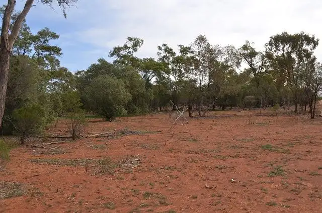 Seventh view of Homely rural property listing, * Budgery, Cobar NSW 2835