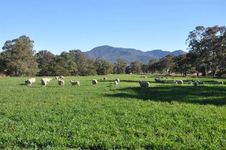 Fourth view of Homely rural property listing, . 'Hillview', Cnr Timor Rd & Haydons Woolshed Rd, Murrurundi NSW 2338