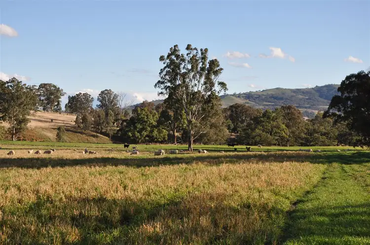 Fifth view of Homely rural property listing, . 'Hillview', Cnr Timor Rd & Haydons Woolshed Rd, Murrurundi NSW 2338