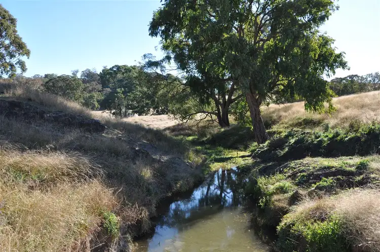 Seventh view of Homely rural property listing, . 'Hillview', Cnr Timor Rd & Haydons Woolshed Rd, Murrurundi NSW 2338