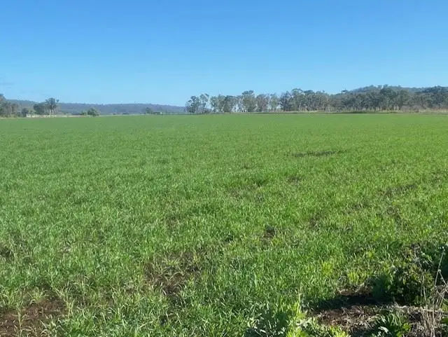 Main view of Homely rural property listing, Lot 29 Nauman Road, Nobby QLD 4360