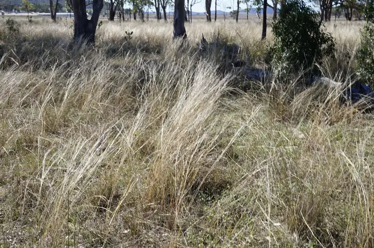 Sixth view of Homely rural property listing, Lot 29 Nauman Road, Nobby QLD 4360