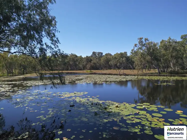 Fifth view of Homely rural property listing, 3661 Bulleringa Road, Fossilbrook QLD 4871