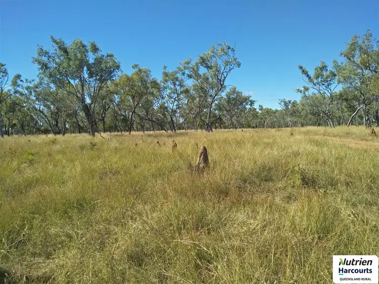 Sixth view of Homely rural property listing, 3661 Bulleringa Road, Fossilbrook QLD 4871