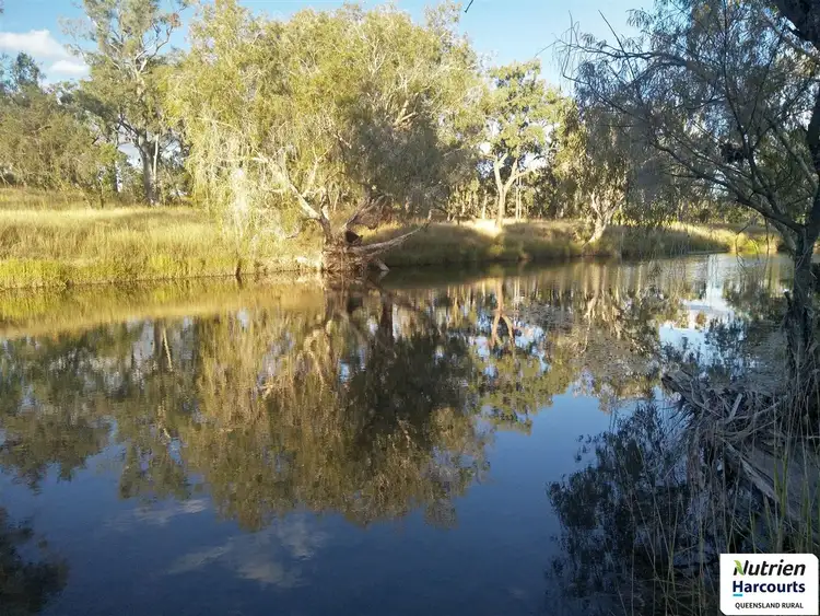 Seventh view of Homely rural property listing, 3661 Bulleringa Road, Fossilbrook QLD 4871