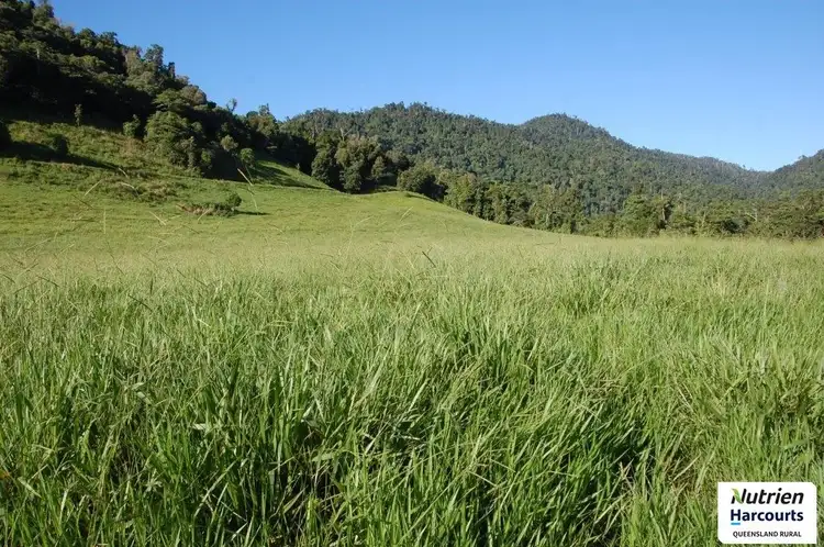 Main view of Homely rural property listing, 0 Sammut Road, Japoonvale QLD 4856